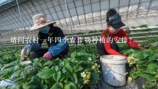 请问农村1年4季农作物种植的安排?