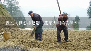 温室大棚怎样建造，蔬菜大棚的安装？