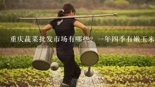 重庆蔬菜批发市场有哪些？1年4季有嫩玉米卖没得？价格好多钱斤？晓得的朋友说哈！