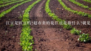 江豆是豇豆吗?超市卖的花江豆是指什么?就是1半红1半白的豆子。它的功用是什么?它可以做什么?