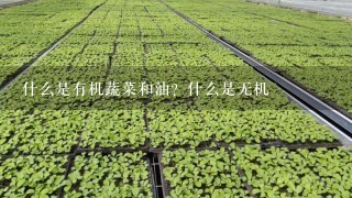 什么是有机蔬菜和油？什么是无机