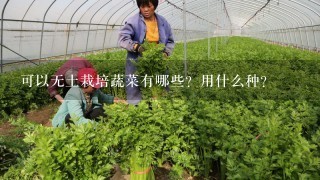 可以无土栽培蔬菜有哪些？用什么种？