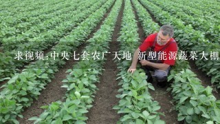 求视频:中央7套农广天地 新型能源蔬菜大棚 设计原理、设计规格及选材