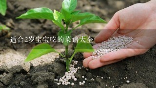 适合2岁宝宝吃的菜谱大全