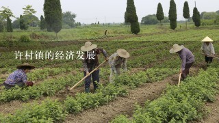 许村镇的经济发展