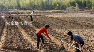 家常煲汤食谱