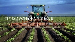 4月份适合种植什么蔬菜和水果