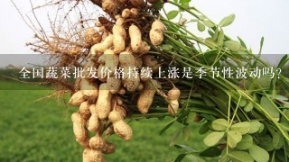 全国蔬菜批发价格持续上涨是季节性波动吗？