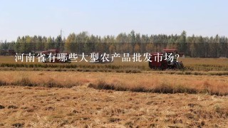 河南省有哪些大型农产品批发市场?