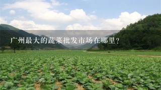 广州最大的蔬菜批发市场在哪里？