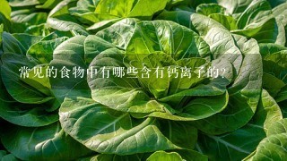 常见的食物中有哪些含有钙离子的？