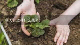 冬天合适种什么蔬菜？