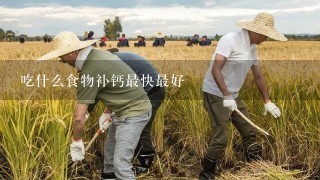 吃什么食物补钙最快最好