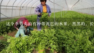 这个季节卖的有种带泥巴的水果，黑黑的，长在田里的，叫什么名字呀？