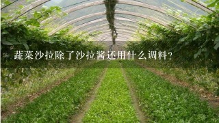 蔬菜沙拉除了沙拉酱还用什么调料？