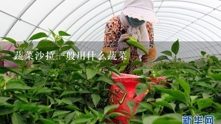 蔬菜沙拉1般用什么蔬菜