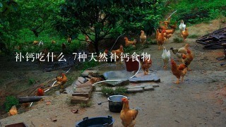 补钙吃什么 7种天然补钙食物