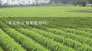 1米5的豆角架能用吗？