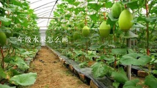 2年级水果怎么画