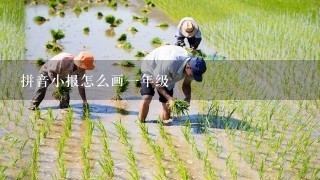 拼音小报怎么画1年级