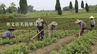 英文店名简单易懂