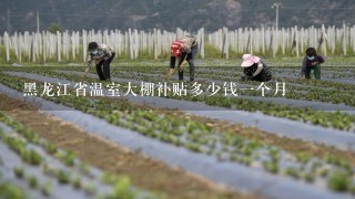 黑龙江省温室大棚补贴多少钱1个月