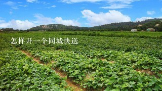 怎样开1个同城快送