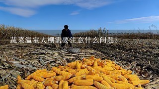 蔬菜温室大棚需要注意什么问题？