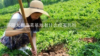 邵阳大棚蔬菜基地有什么政策扶持