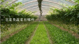 茎菜类蔬菜有哪些