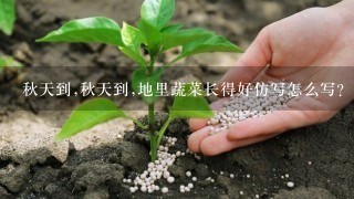 秋天到,秋天到,地里蔬菜长得好仿写怎么写?