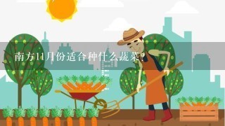 南方11月份适合种什么蔬菜？