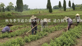 秋冬季节适合播种什么蔬菜 适合秋冬季节栽种的蔬菜