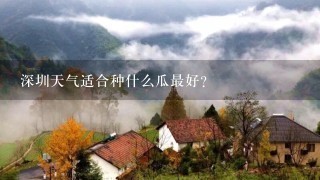 深圳天气适合种什么瓜最好？