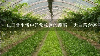 在日常生活中经常吃到的蔬菜--大白菜含钙量算高吗?