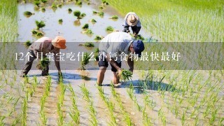 12个月宝宝吃什么补钙食物最快最好