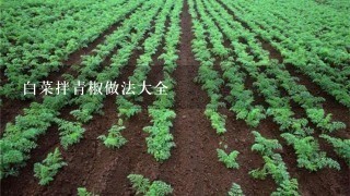 白菜拌青椒做法大全