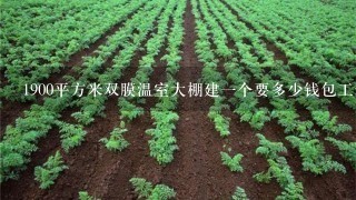 1900平方米双膜温室大棚建1个要多少钱包工包料