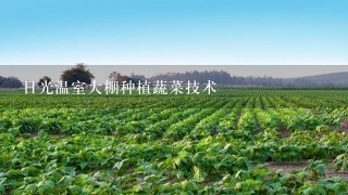 日光温室大棚种植蔬菜技术