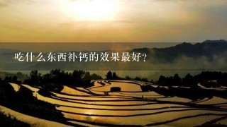 吃什么东西补钙的效果最好？