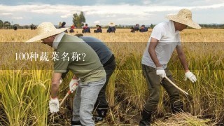 100种蔬菜名称？