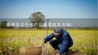 惠州有几个水产品蔬菜批发市场？