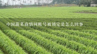 中国蔬菜商情网帐号被锁定是怎么回事