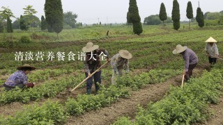 清淡营养餐食谱大全