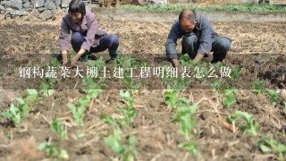 钢构蔬菜大棚土建工程明细表怎么做