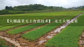 【大棚蔬菜无土育苗技术】 无土大棚蔬菜