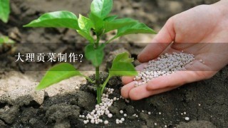 大理贡菜制作？