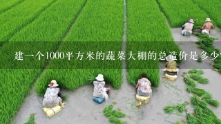 建1个1000平方米的蔬菜大棚的总造价是多少？