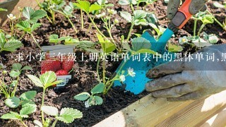 求小学3年级上册英语单词表中的黑体单词,黑体单词!