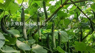 什么奶粉补钙效果好？